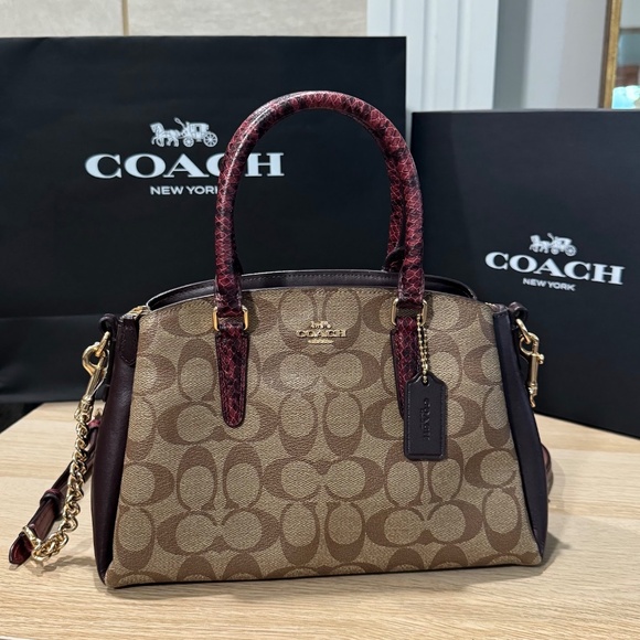 Coach Mini Sage Carryall Satchel Crossbody Bag Brown/Red Signature Canvas F84623 - Picture 4 of 13